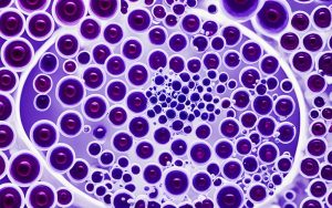 Eozynofile podwyższone u dziecka